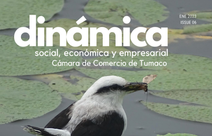 ESTUDIO ECONOMICO DEL PACIFICO NARIÑENSE 2022